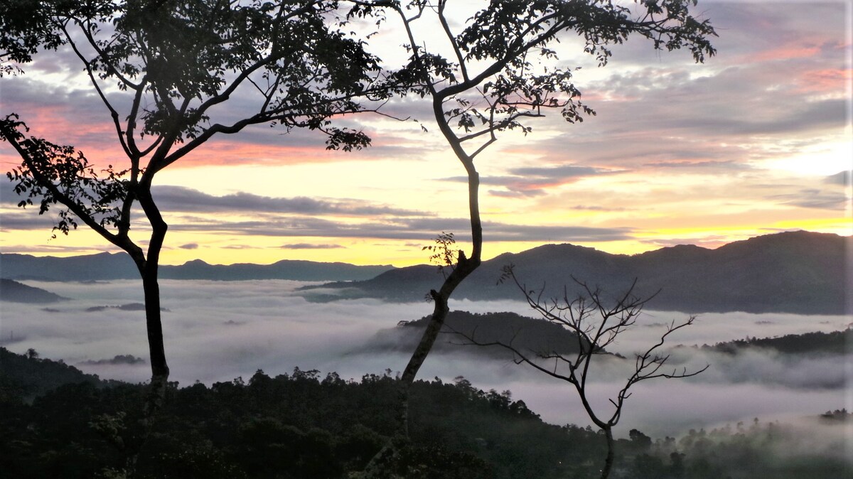 The Cloud Resort