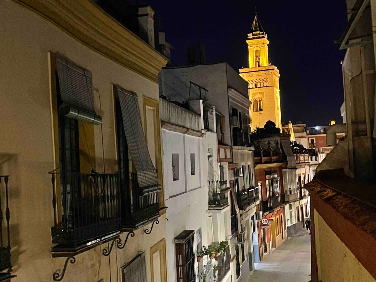 Ático en edificio histórico