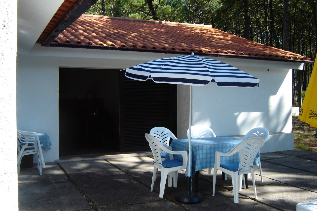 Rural beach villa in the pine woods