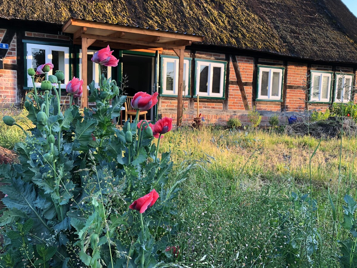 Haus am Fluss und See