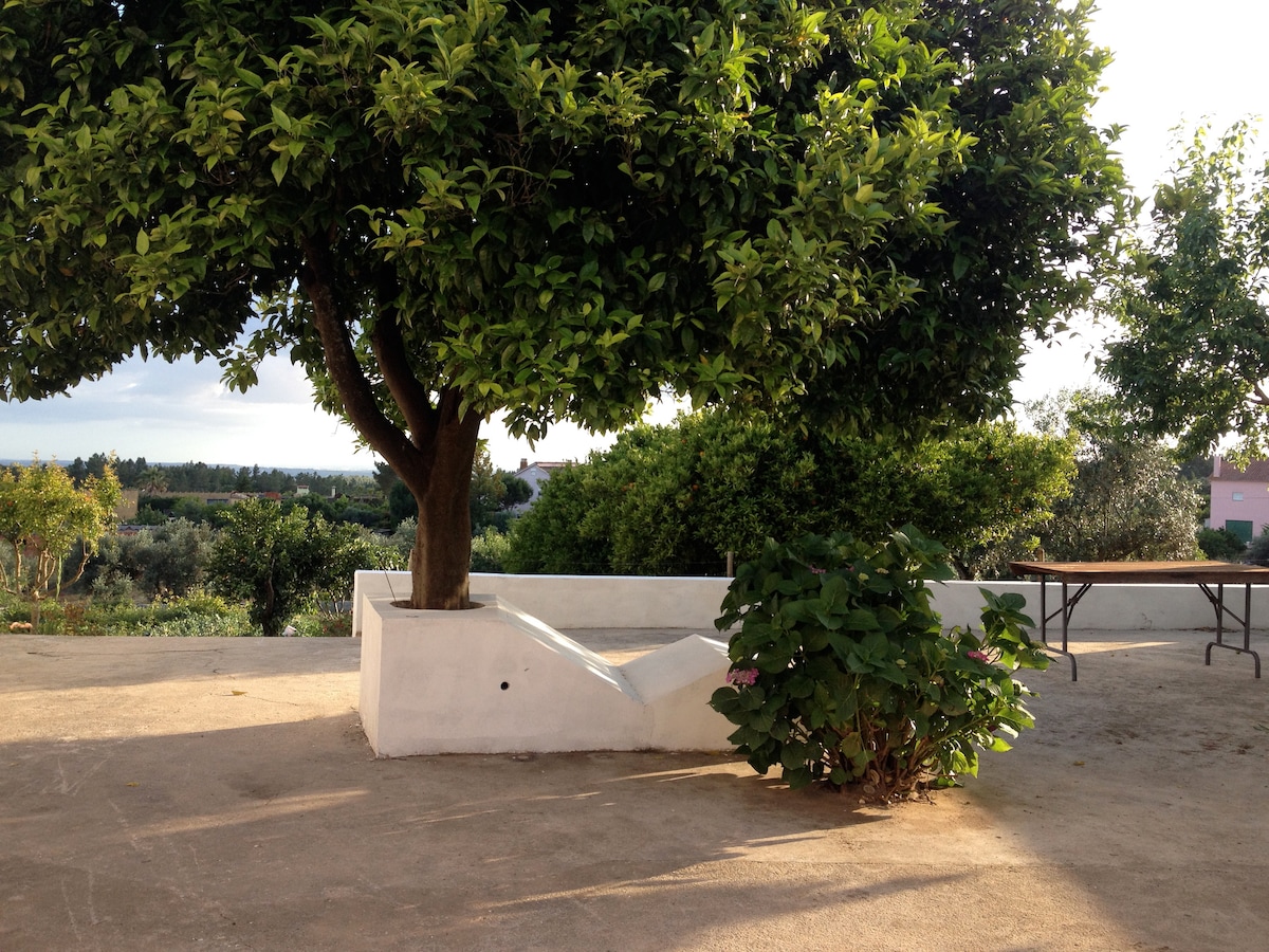 Casa da Fonte Velha