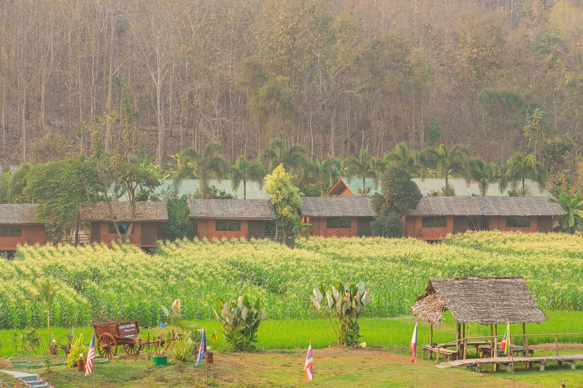 带稻田景观的独特客房