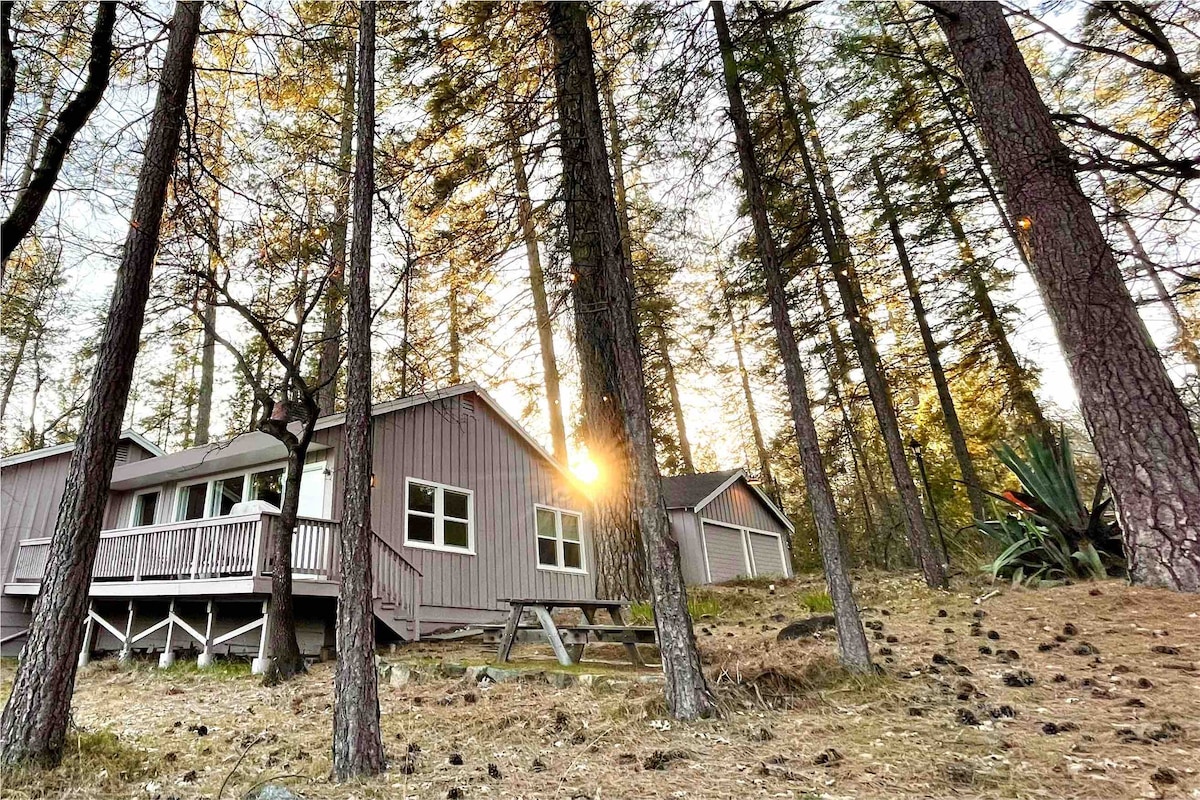 Dog-Friendly, Private Forest | The Timbers Cottage