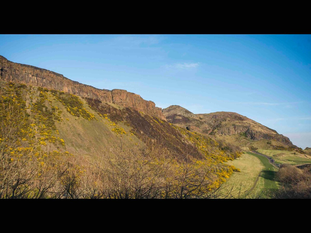 Holyrood Park View