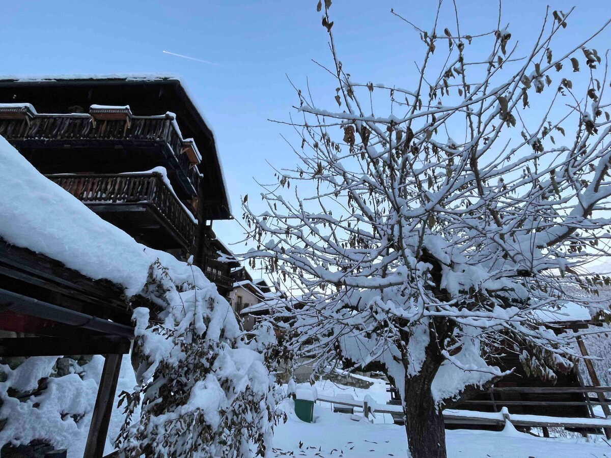 Chalet familial à Grimentz