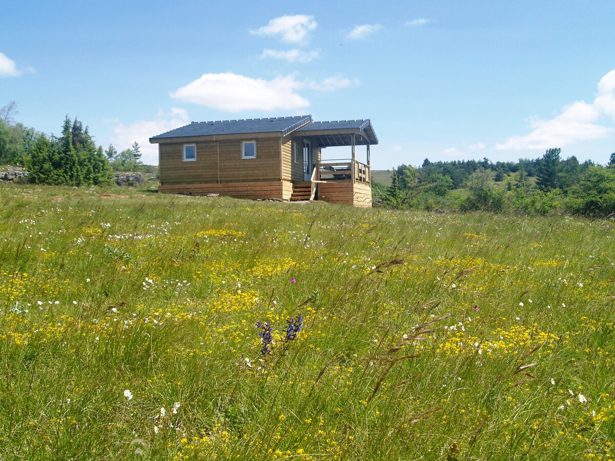 Chalet 3 chambres en pleine  nature