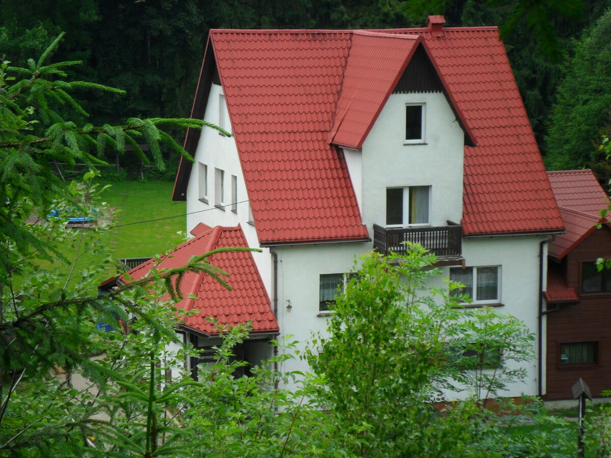 DomLeśny Przytulny Pensjonat w Górach