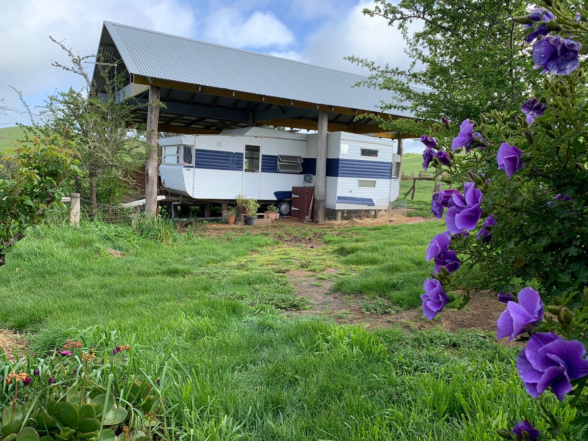 Viscount Royal Caravan 1974 On Historic Property