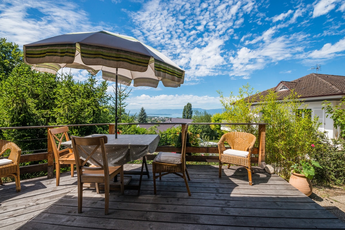 Chalet savoyard dominant lac Leman