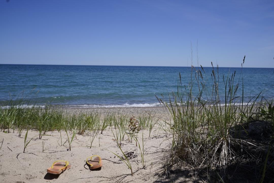 Two Trees Lake Huron Cottage, dog friendly