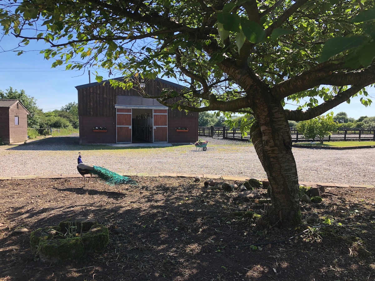 切希尔萨德里美丽的农家住宿体验