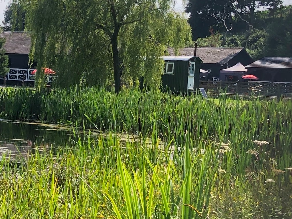 带原木燃烧的牧羊人小屋和羊驼的美景