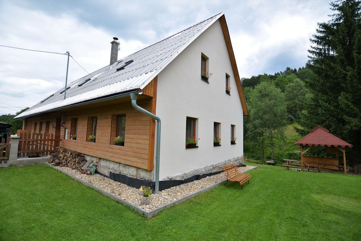 holiday home with sauna and billiards, ski slope