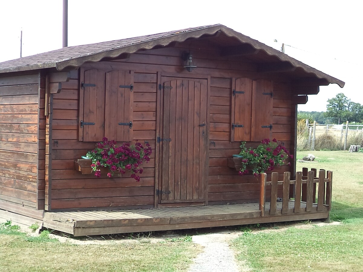 Chalet paisible « la Trèfletière »