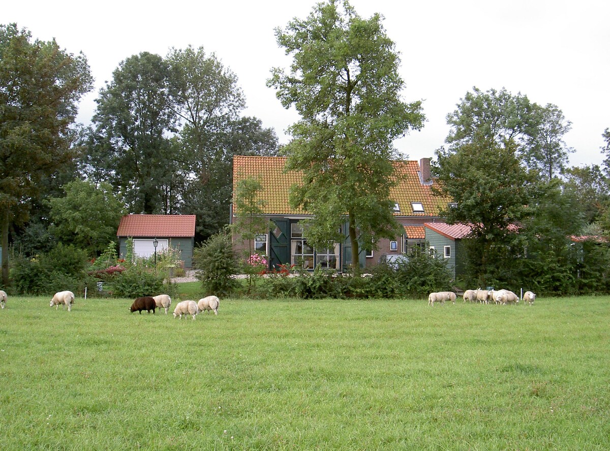 Bed and Bicycle Residential Farm