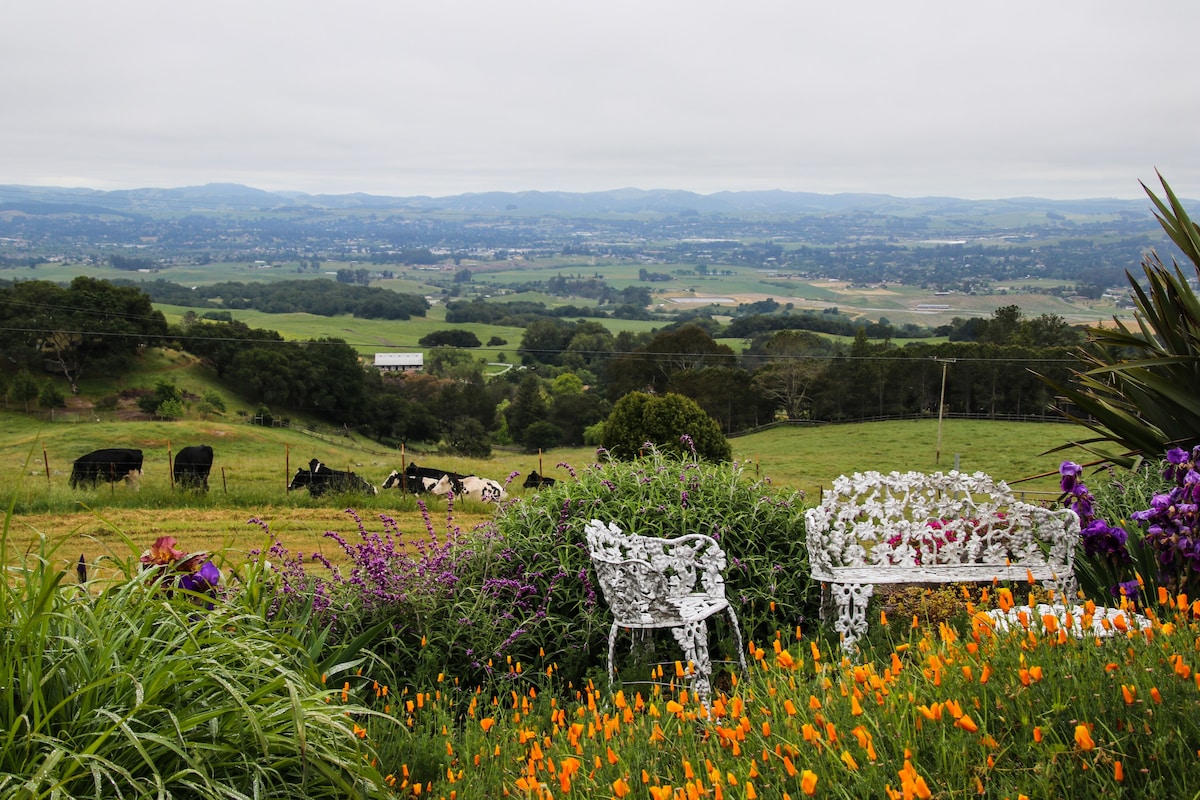 Milk House - Sonoma Mountain Terrace