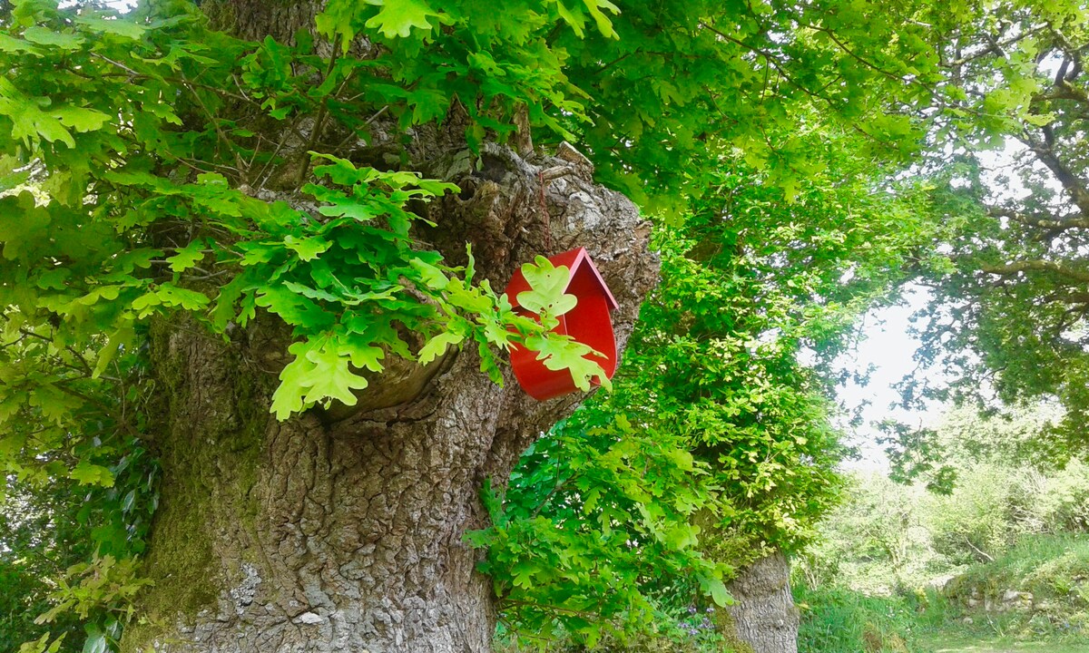 Les Gîtes de Kernolo ： "Les Pileas" * * * *