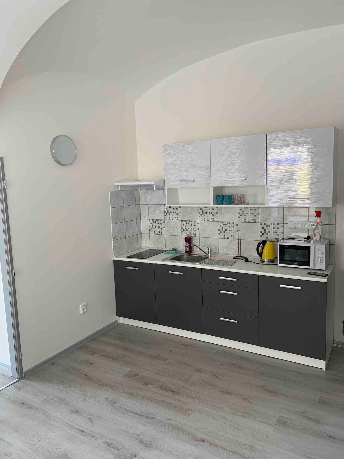 Apartmány Žižkova -  apartmán v přízemí