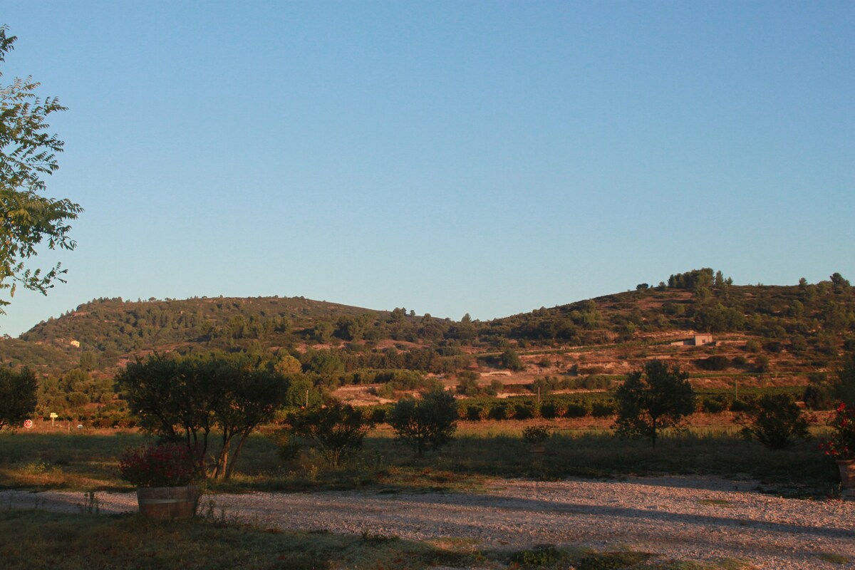 Charmant gîte au cœur des vignes