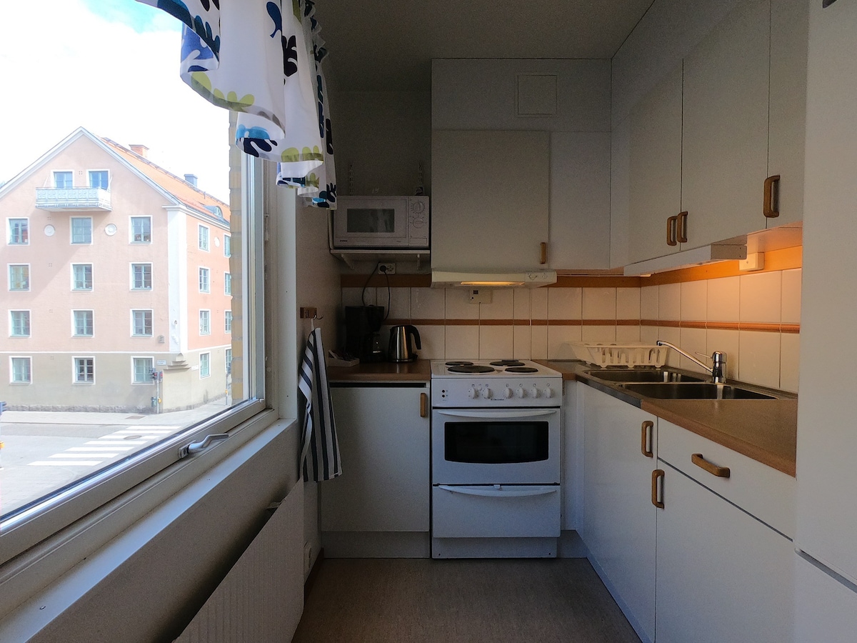 林雪平（ Linköping ）市中心的单卧室公寓