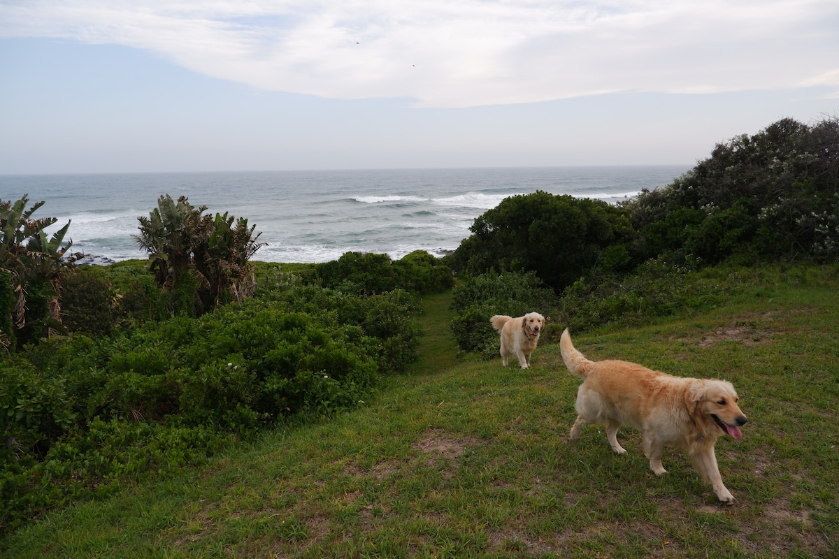 Beach House in Kwelera National Botanical Garden