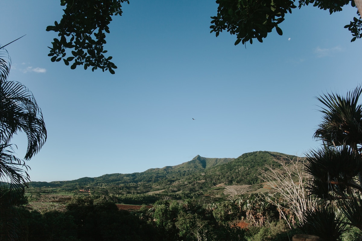 Le Perchoir at La Vieille Cheminée, Chamarel