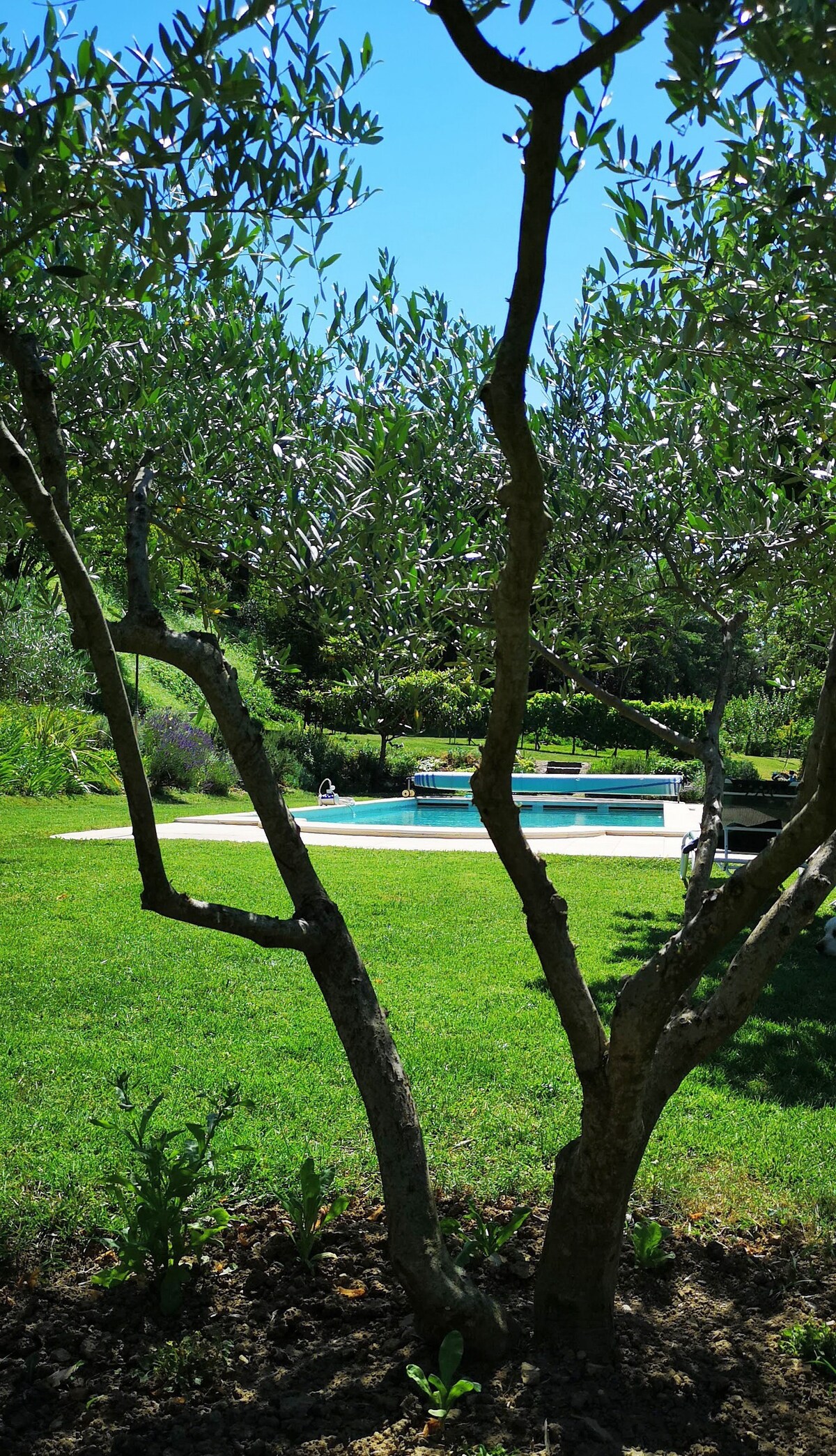 Mas Sellier: Relaxing rural retreat, pool & garden