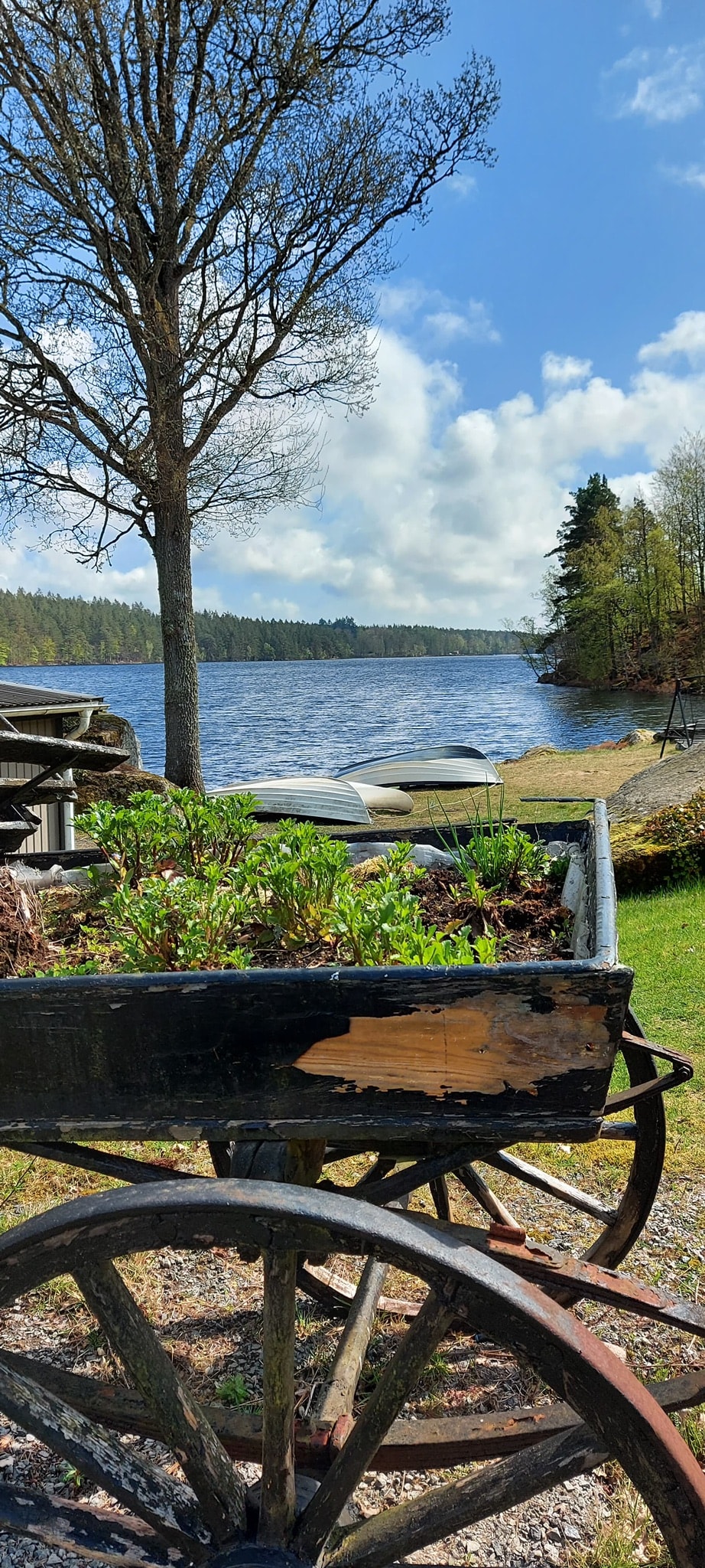 Mysig sommarstuga vid Långasjön med brygga & båt.