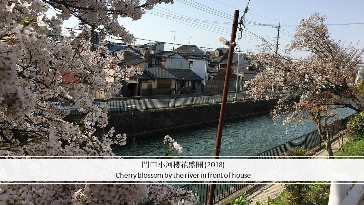 家里门口有樱花,离京都站5分钟,河畔古民家,房东说中文