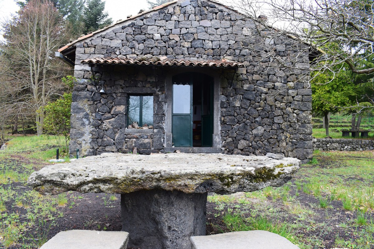 Rifugio PetraLava immerso nella natura