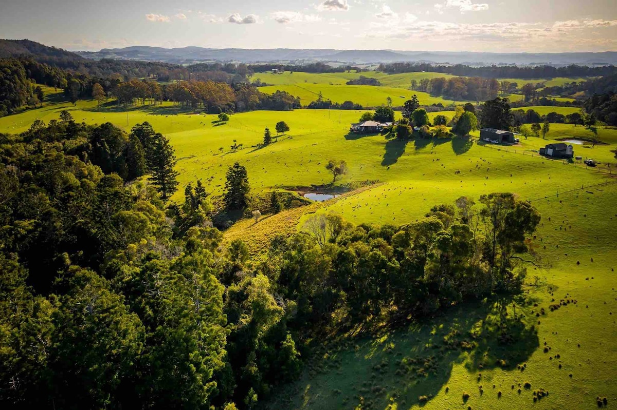 Dorrigo -Fay 's Cottage -古朴、迷人、家庭