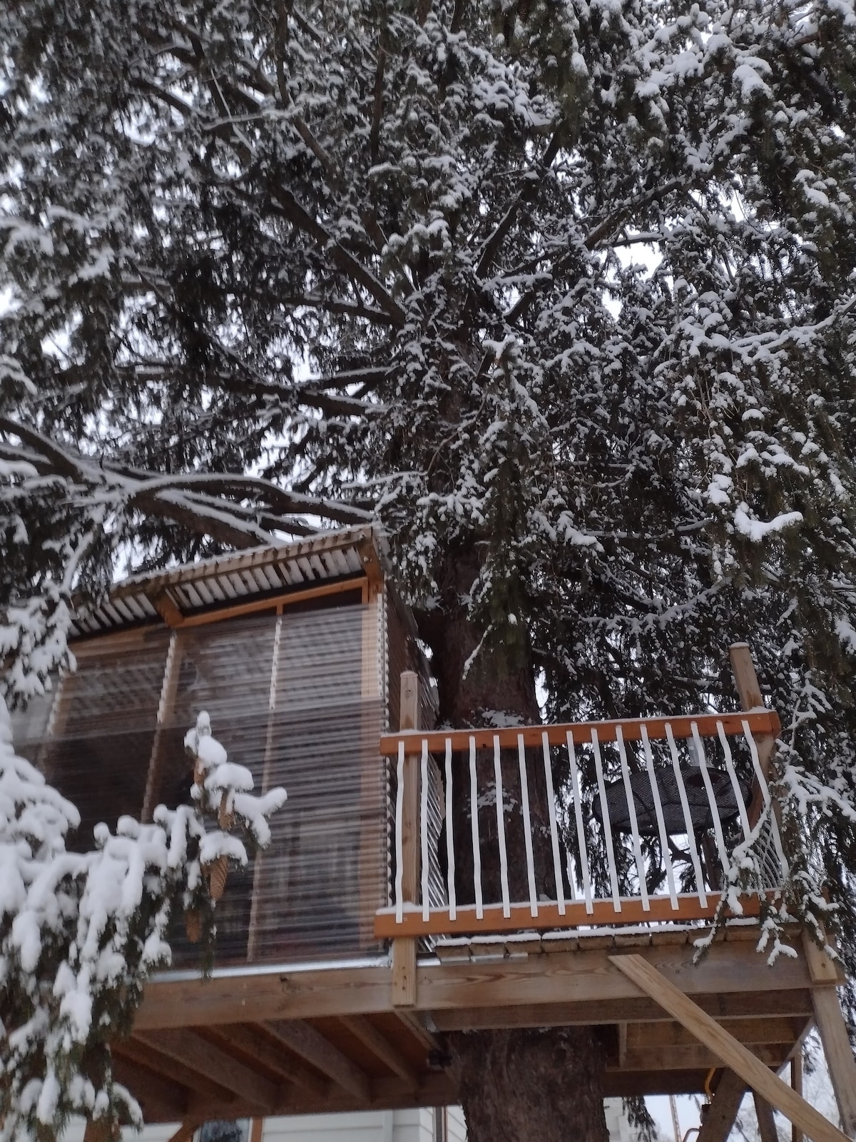 J&G's Treehouse: tiny off-grid nest; ladder access