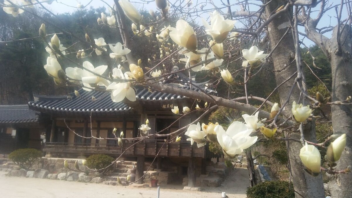 Myeongwolu Room （位于Myeongwolu Jeongja ，一个独立运动的地方，例如起草独立请愿书）