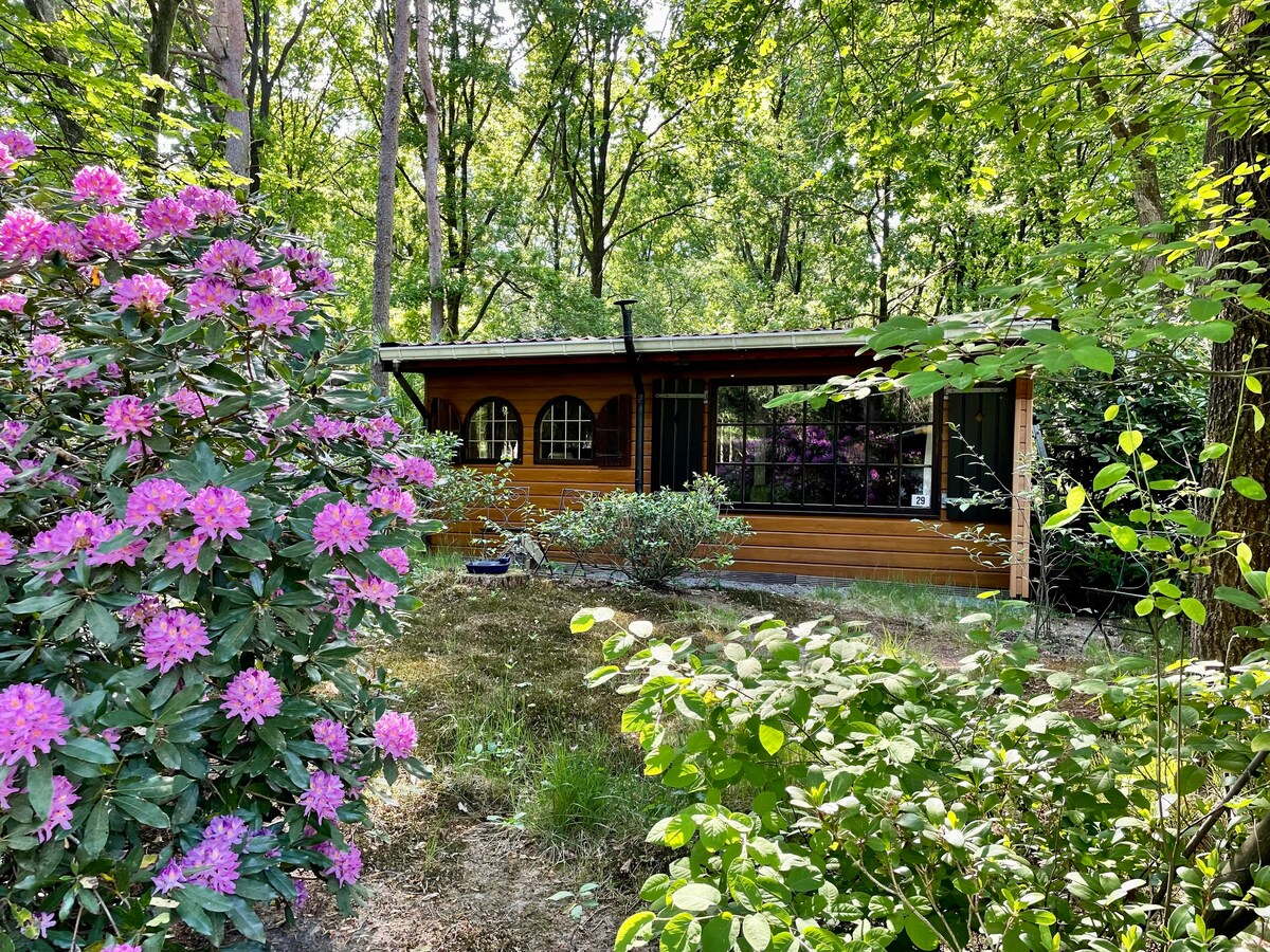 自然风格的温馨、温馨和舒适的度假木屋。