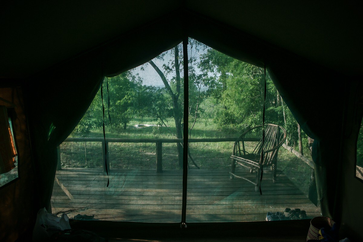Miseni Retreat Eco-Lodge的野生动物帐篷