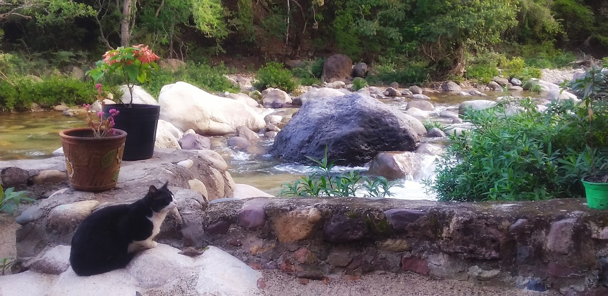 在大自然中， Casa Río Cuale & River Retreat。