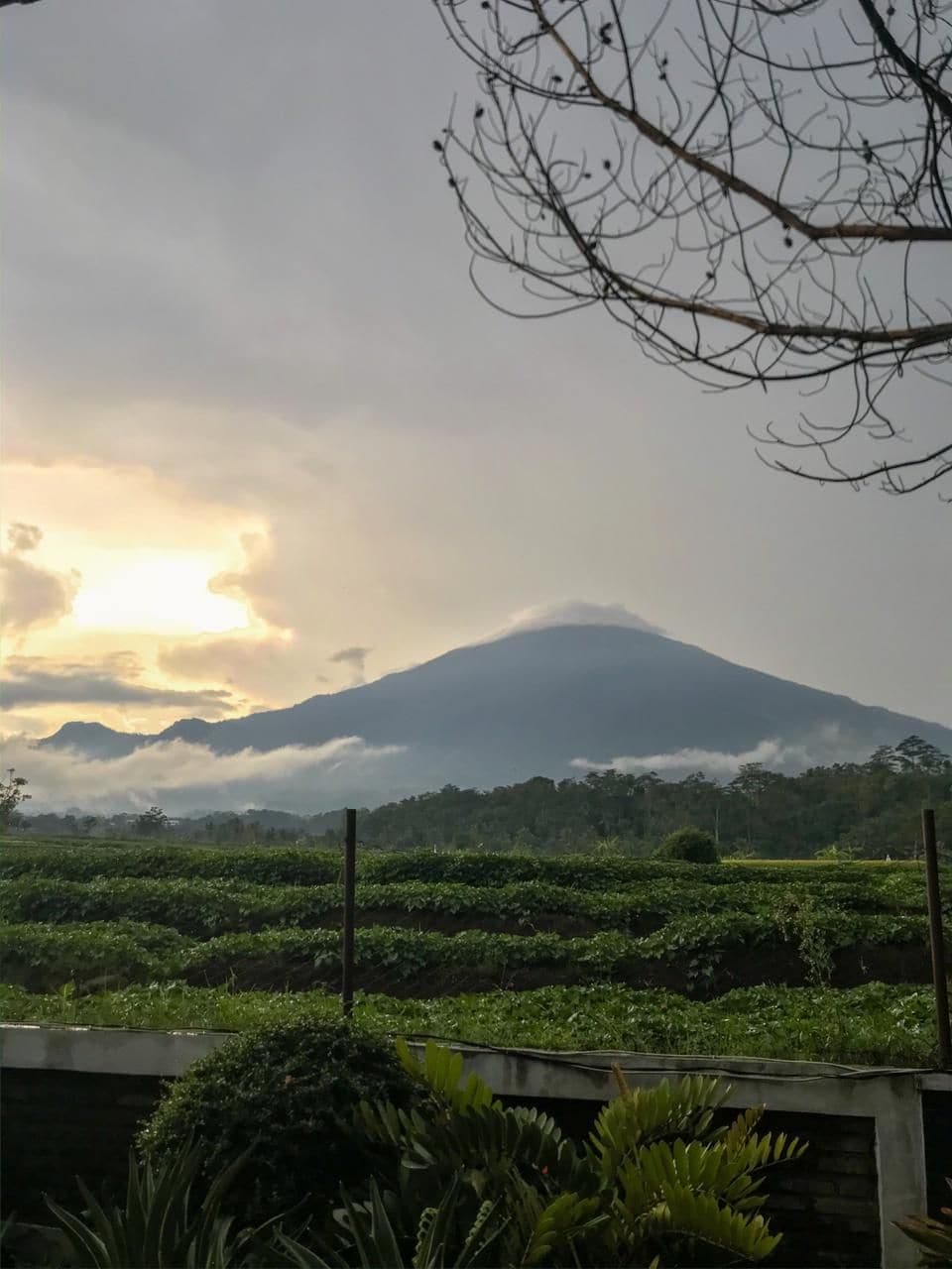 Cilimus Village ，欣赏Ciremai山的美景