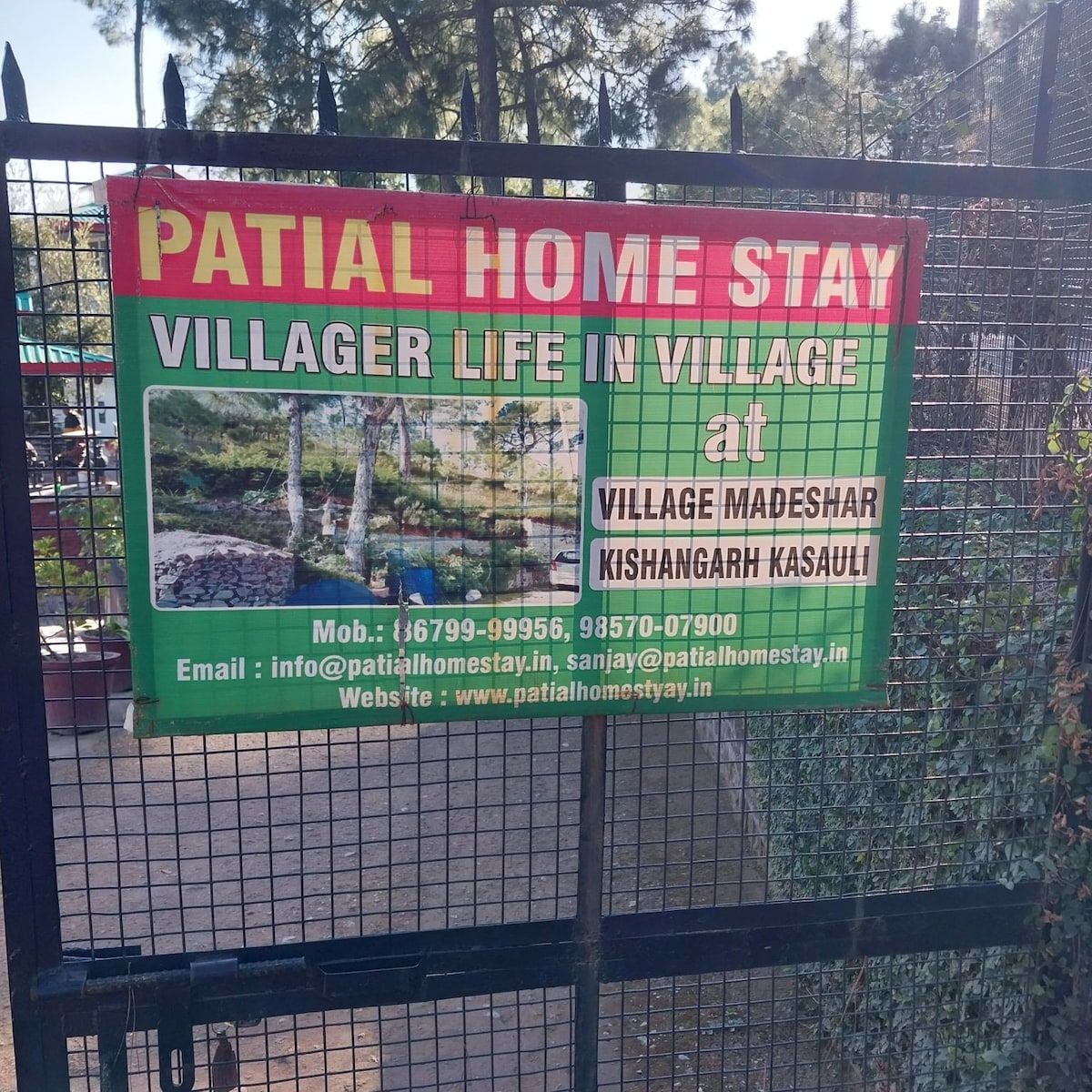 Patial Home Stay Kasauli (H.P.) INDIA