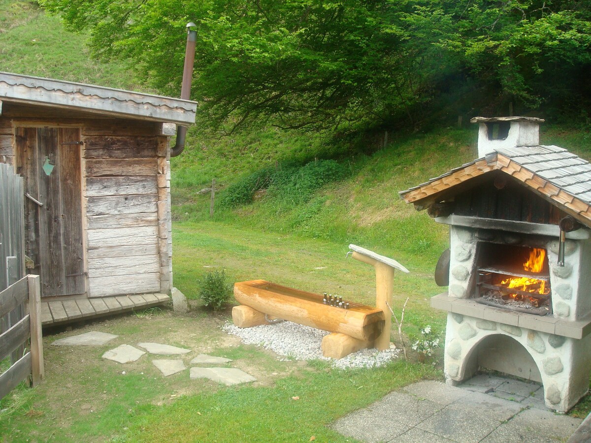 Tauernwelt Almhütte （含户外桑拿）