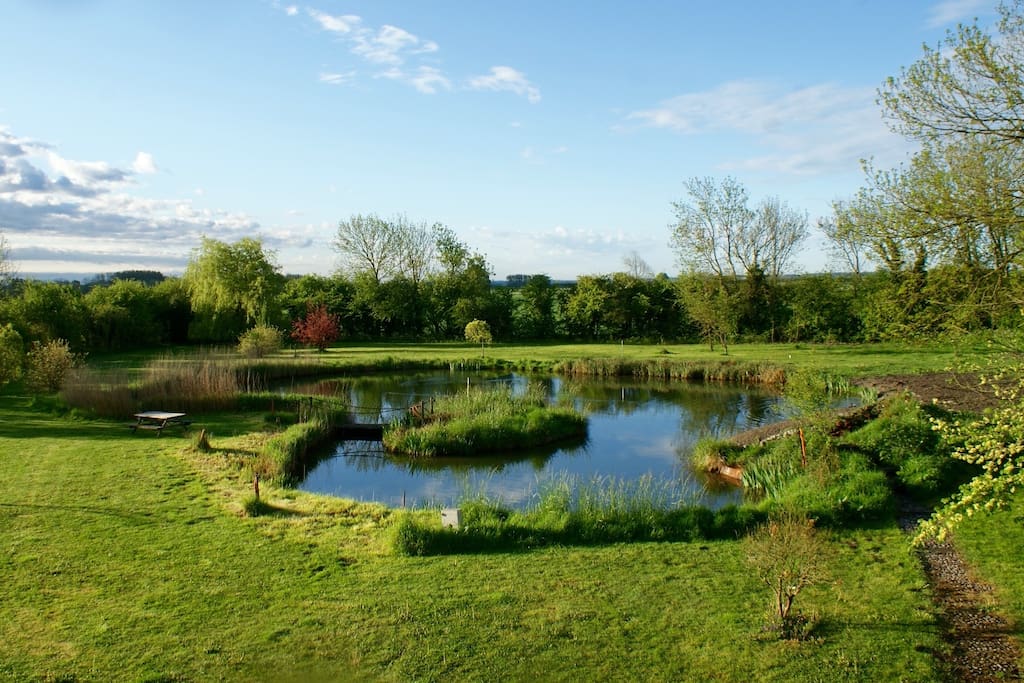 guests are free to enjoy the garden and pond