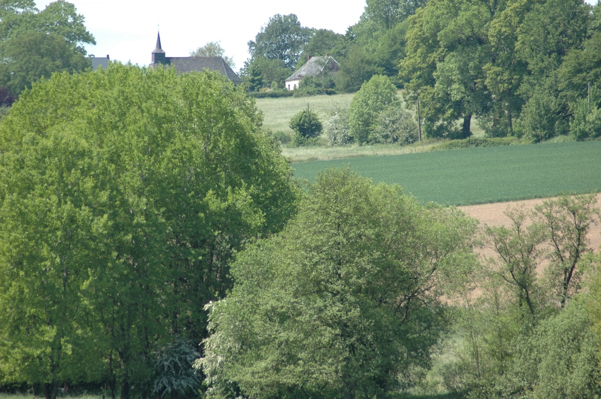 Le vieux gaucher