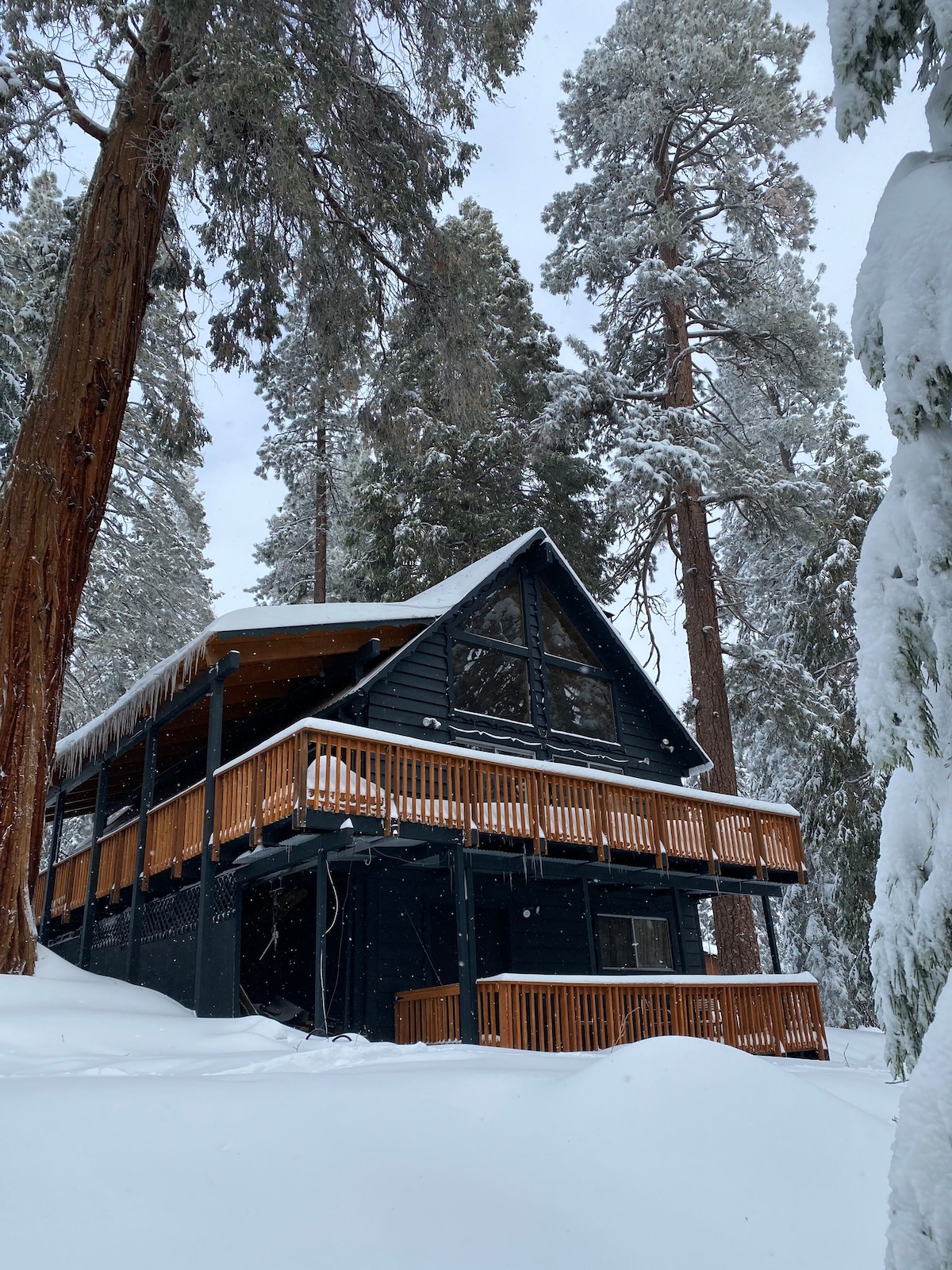 Casa Pondo Retreat Sequoia Nat Forest - 3卧室！