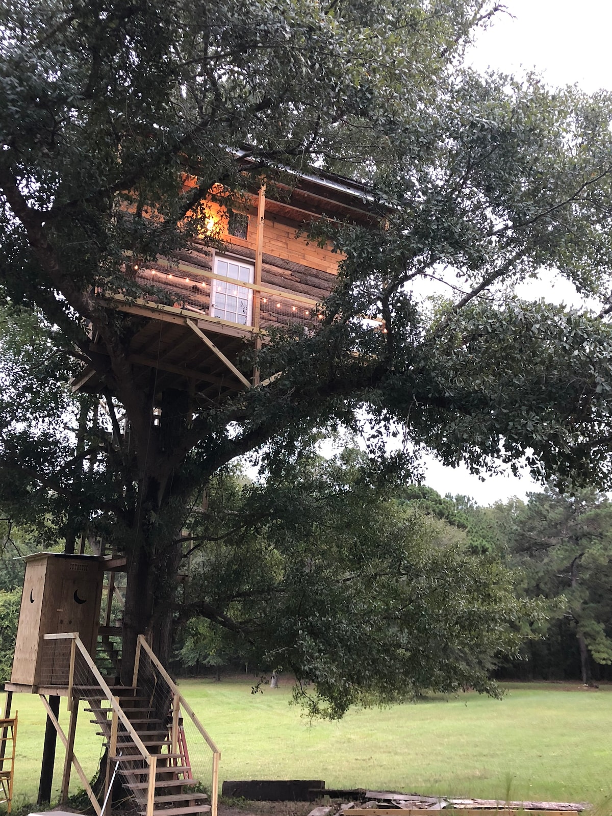 在我们的树顶树屋（ Tree Top Tree House ）与羊驼一起睡觉。