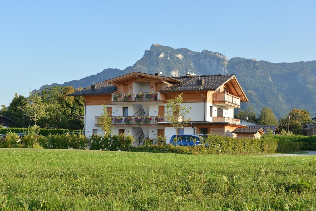 Cozy apartment surrounded by meadows near Salzburg