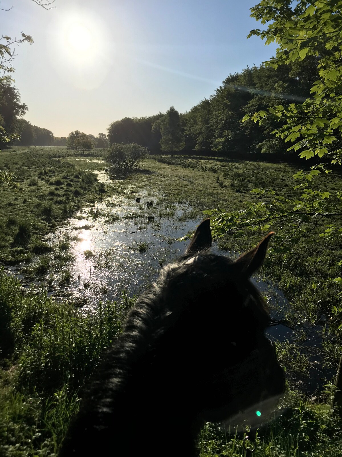 Glamping i skøn natur (tag hesten med)