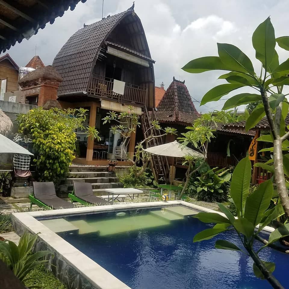 乌布美景旅舍（ Ubud PAdi View Hostel ） 2人早餐和游泳池