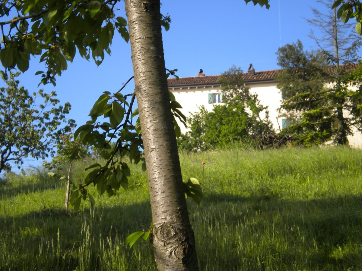 Casa rural in Monferrato