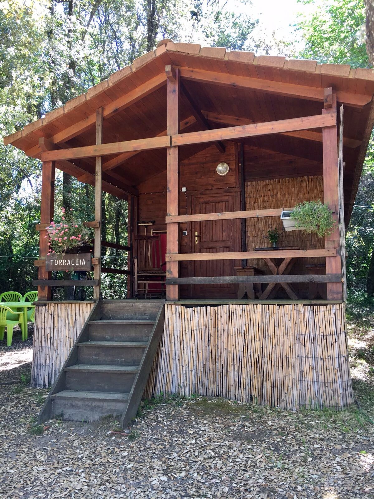 Bungalow in Nature - Torraccia