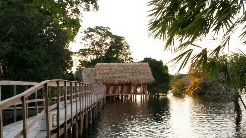 Tucan Amazon Lodge -完整的丛林项目