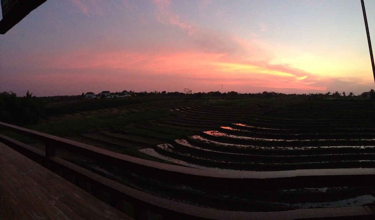 长谷（ Canggu ）景观迷人的客房